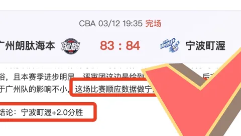 大乐透期号专家推荐：福图纳主场挑战费耶诺德质合分析
